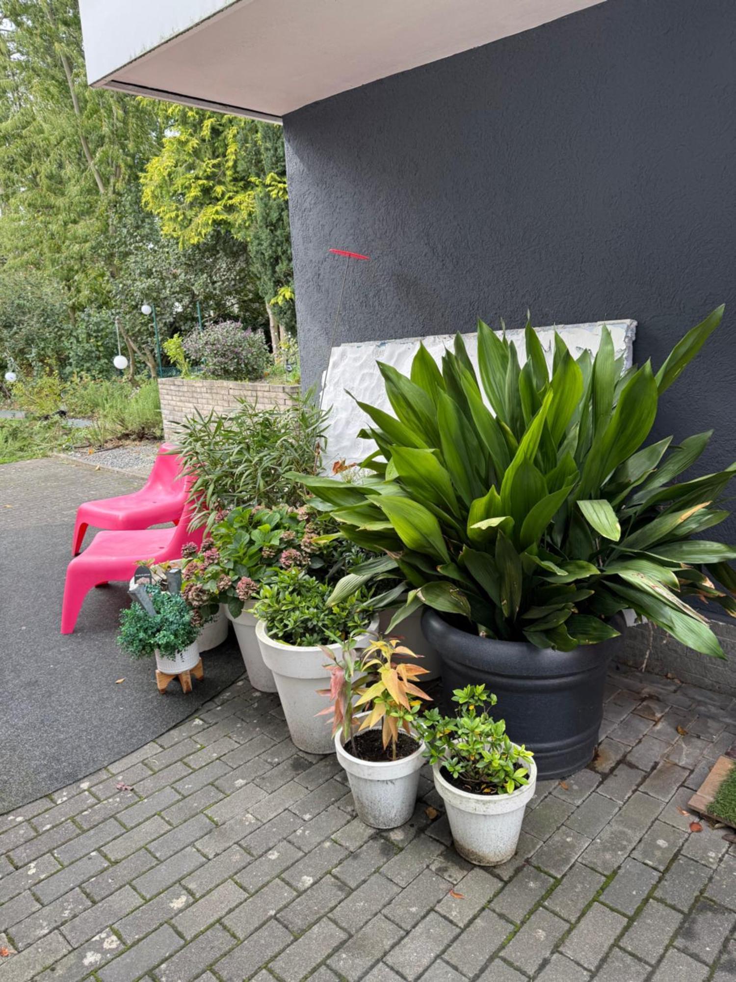 Modernes 1 Zimmerapartment Nahe Frankfurt Am Main Heusenstamm Εξωτερικό φωτογραφία